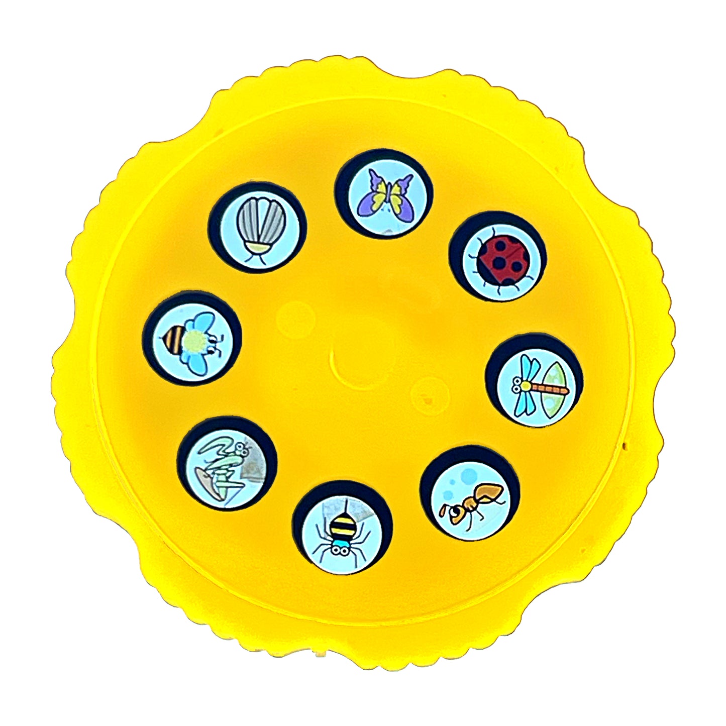 6'lı Projeksiyon Disk Seti